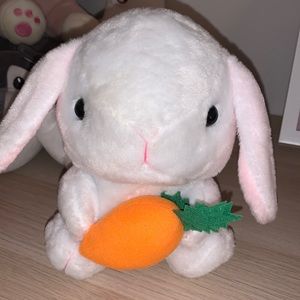 🐰🥕 rabbit